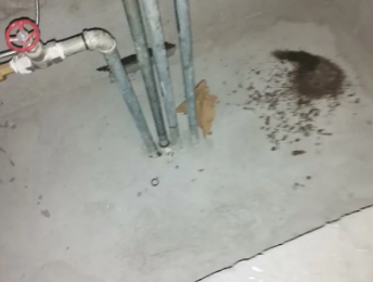 濮阳卫生间测漏水价格明细